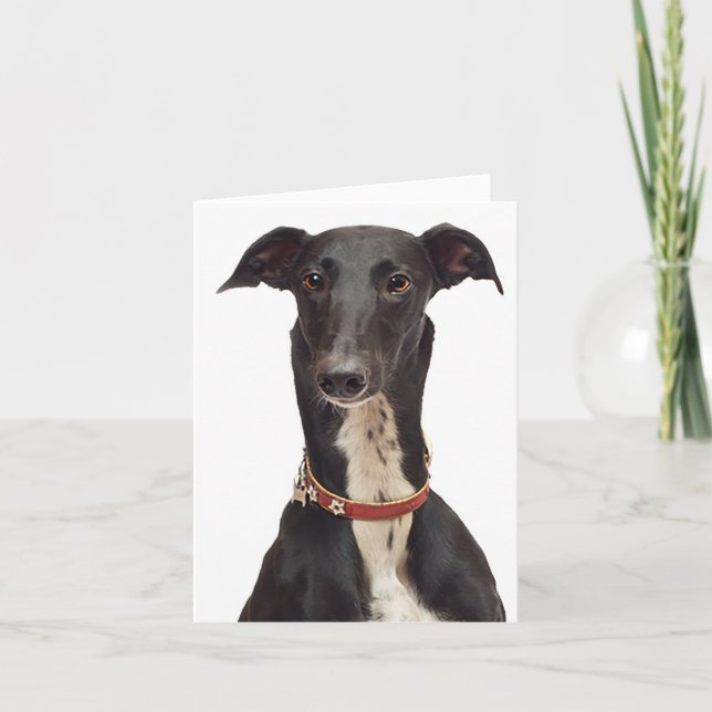 Black & White Greyhound Puppy Dog Blank Note Card (Front)