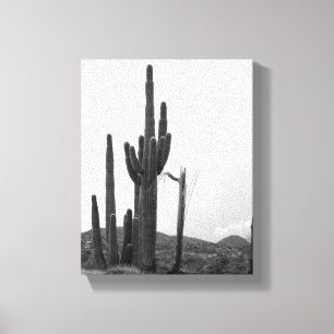 Black & White Group of Saguaro Cactus on Hill 8x10 Canvas Print