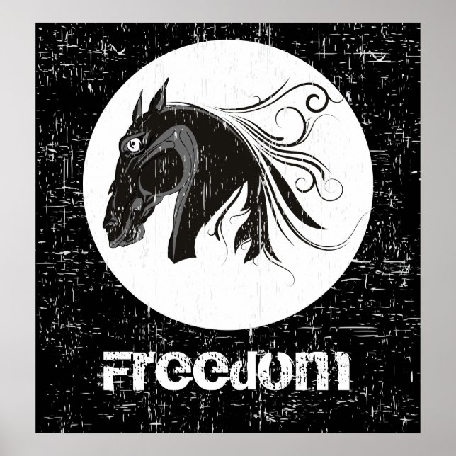 Black white grunge horse head animal poster (Front)