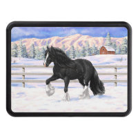Black & White Gypsy Vanner Tinker Draft Horse