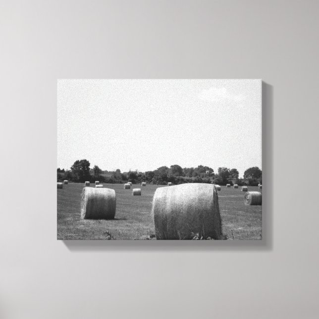 Black & White Hay Rolls Scattered on a Farm 11x14 Canvas Print (Front)