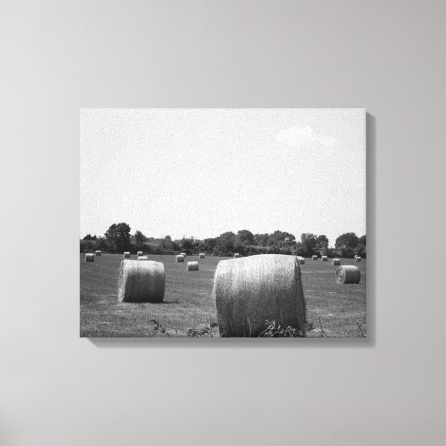 Black & White Hay Rolls Scattered on a Farm 16x20 Canvas Print (Front)