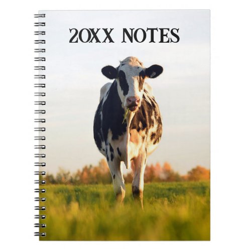 Black White Heifer in Field Yearly Notes Notebook