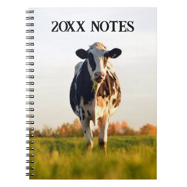 Black, White Heifer in Field Yearly Notes Notebook (Front)