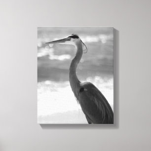 Black & White Heron on the Beach 11x14 Canvas Print