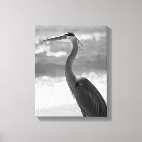Black  White Heron on the Beach 11x14 Canvas Print