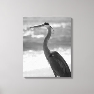 Black & White Heron on the Beach 16x20 Canvas Print