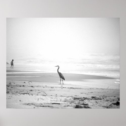 Black  White Heron on the Foggy Beach 16x20 Poster
