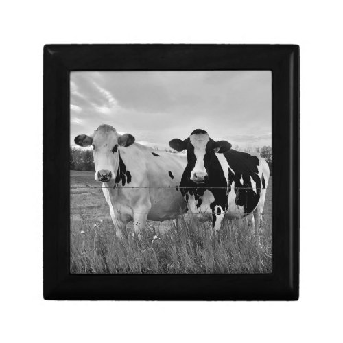 Black White Holstein Cows Gift Box