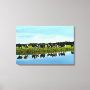 Black, White Holstein Cows in the Pasture Canvas Print