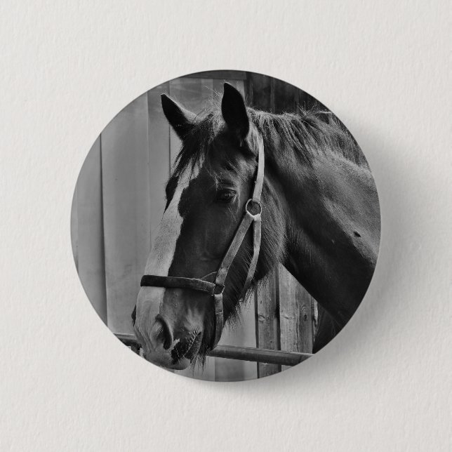 Black White Horse - Animal Photography Art Button (Front)