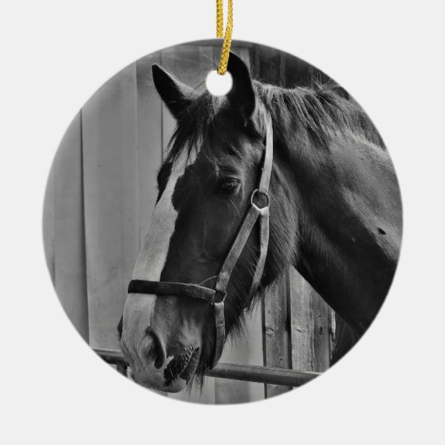 Black White Horse - Animal Photography Art Ceramic Ornament (Front)