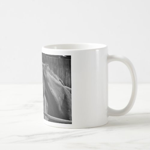 Black White Horse _ Animal Photography Art Coffee Mug