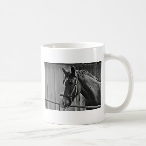 Black White Horse _ Animal Photography Art Coffee Mug