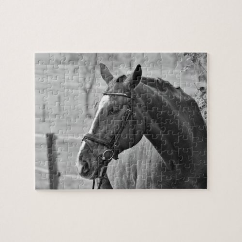 Black White Horse _ Animal Photography Art Jigsaw Puzzle
