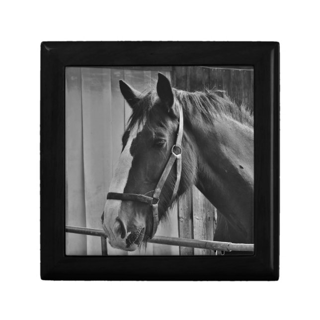 Black White Horse - Animal Photography Art Keepsake Box (Front)