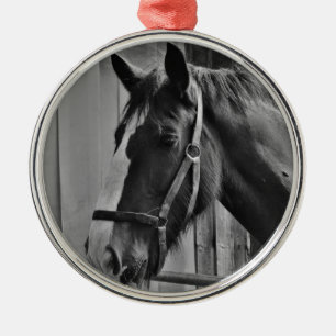 Black White Horse - Animal Photography Art Metal Ornament