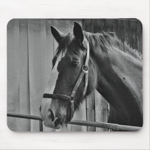 Black White Horse _ Animal Photography Art Mouse Pad