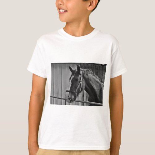 Black White Horse _ Animal Photography Art T_Shirt