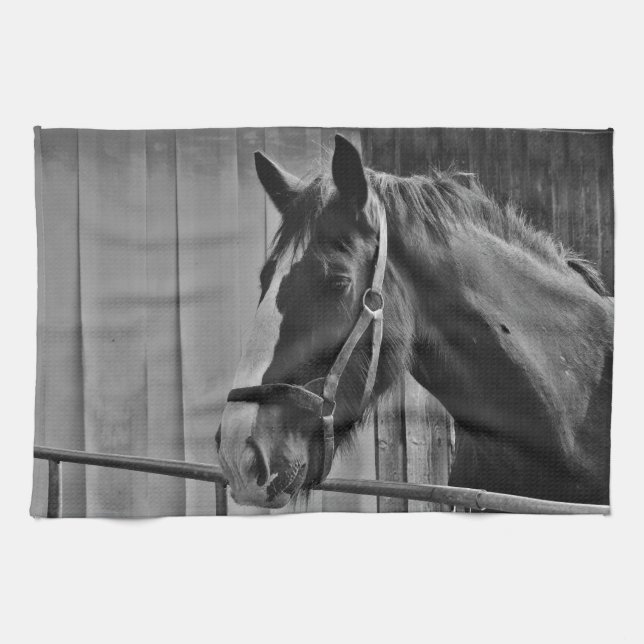 Black White Horse - Animal Photography Art Towel (Horizontal)