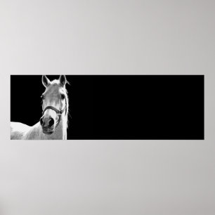 Black & White Horse Artwork Poster