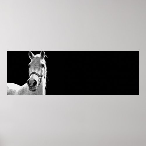 Black  White Horse Artwork Poster