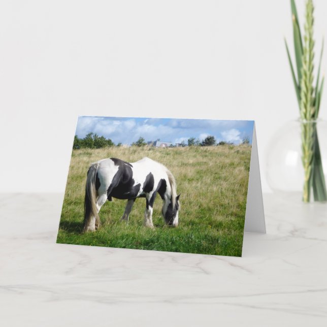 Black & White Horse Blank Greeting Card (Front)