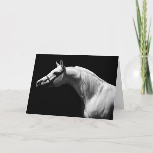 Black & White Horse Card