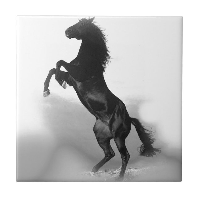 Black White Horse Ceramic Tile (Front)