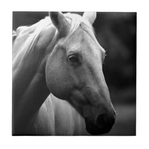 Black White Horse Ceramic Tile