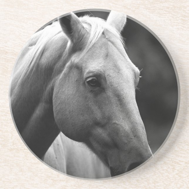 Black White Horse Drink Coaster (Front)