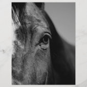 Black White Horse Eye Artwork (Front)