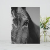 Black White Horse Eye Artwork (Standing Front)