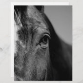 Black White Horse Eye Artwork (Front/Back)