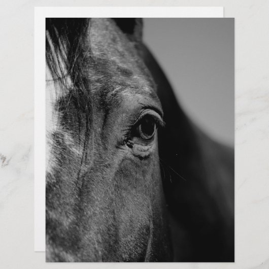 Black White Horse Eye Artwork (Front/Back)