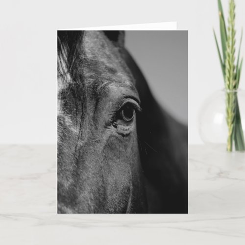 Black White Horse Eye Artwork Card