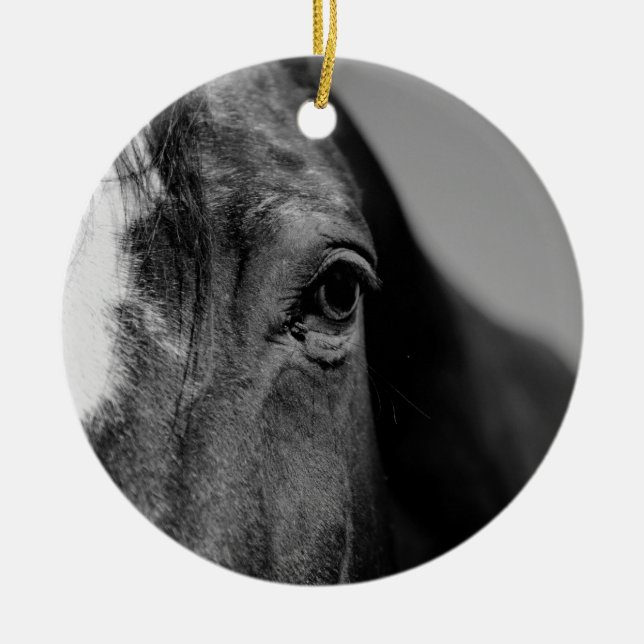 Black White Horse Eye Artwork Ceramic Ornament (Front)