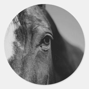 Black White Horse Eye Artwork Classic Round Sticker