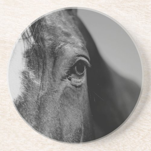 Black White Horse Eye Artwork Drink Coaster