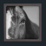 Black White Horse Eye Artwork Jewelry Box<br><div class="desc">Horse Head Art - Horse Face - Modern Animal Art Photography</div>