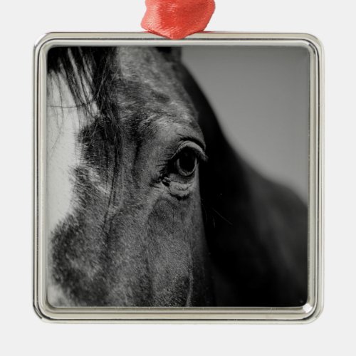 Black White Horse Eye Artwork Metal Ornament