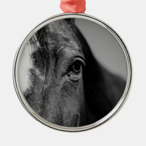 Black White Horse Eye Artwork Metal Ornament
