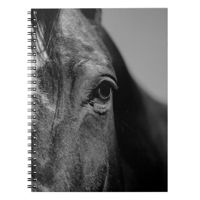 Black White Horse Eye Artwork Notebook (Front)