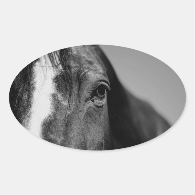 Black White Horse Eye Artwork Oval Sticker (Front)