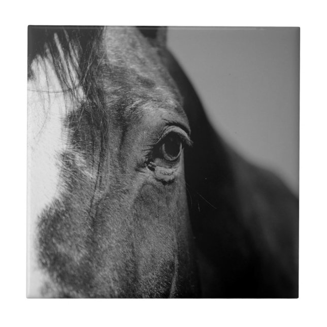 Black White Horse Eye Artwork Tile (Front)