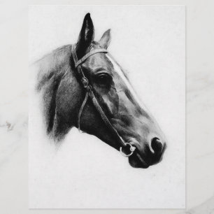 Black & White Horse Flyer