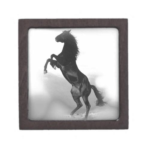 Black White Horse Gift Box