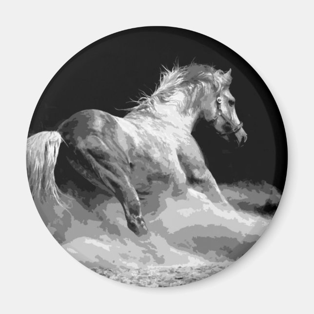 Black & White Horse in Action Magnet (Front)
