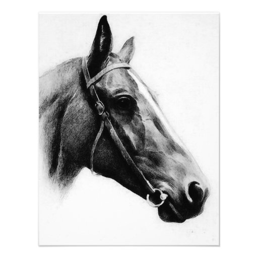 Black & White Horse 4.25x5.5 Paper Invitation Card | Zazzle