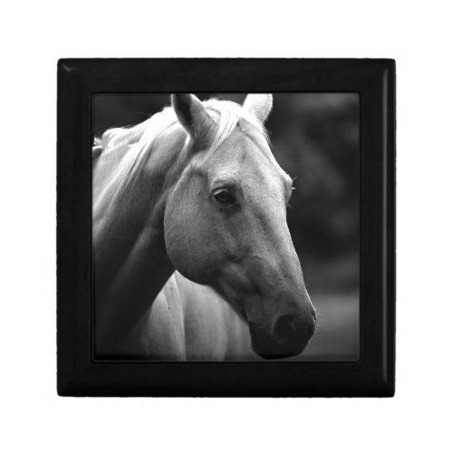 Black White Horse Jewelry Box